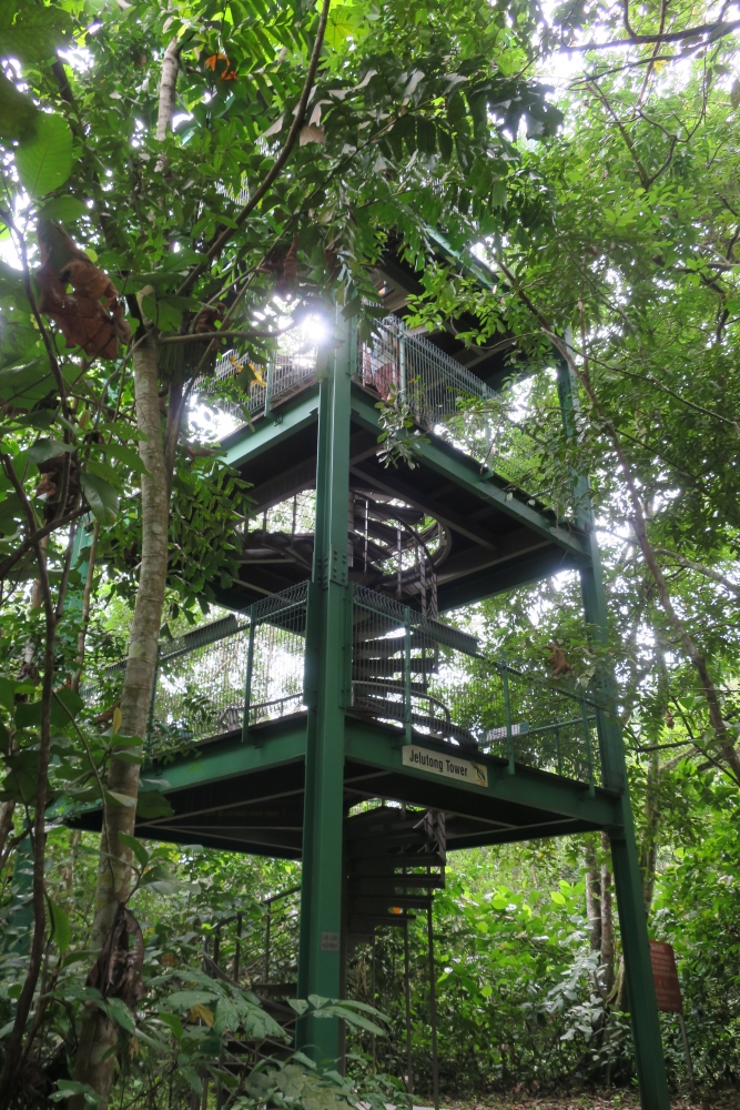 Jelutong Tower