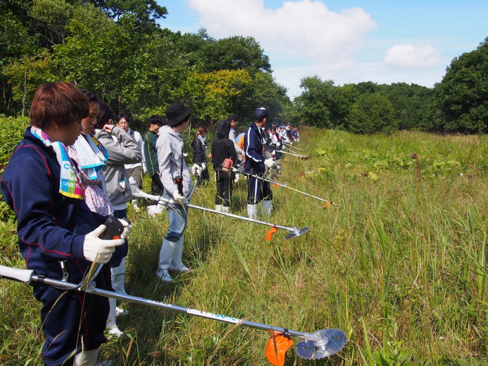 みどりのゆび管理地前の道標 みどりのゆび管理地前の道標