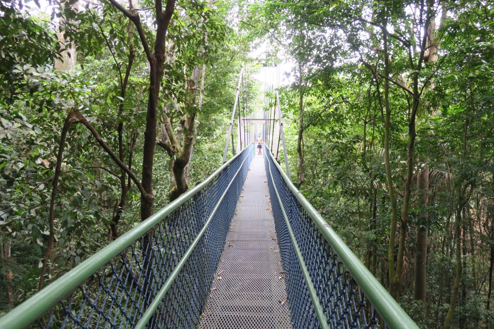 吊り橋