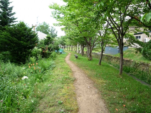 寺の沢川コース 寺の沢川コース