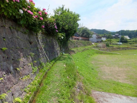 小崎棚田コース:あぜ道も歩く 小崎棚田コース:あぜ道も歩く