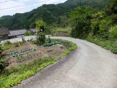 小崎棚田コース:路地 小崎棚田コース:路地