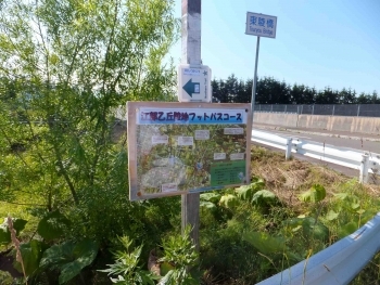 山の辺コース:高速江部乙バス停留場 山の辺コース:高速江部乙バス停留場
