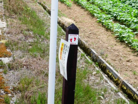 歌才森林公園コース:赤色の足跡マークは私有地の印 歌才森林公園コース:赤色の足跡マークは私有地の印