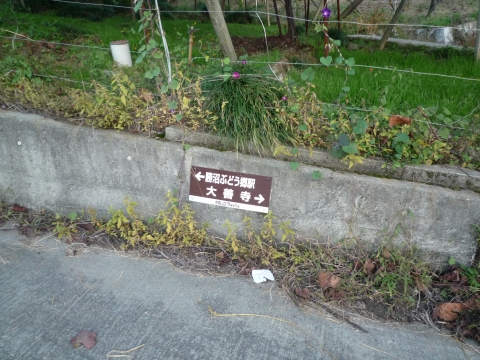  深沢コース：ぶどう畑沿いの標識
