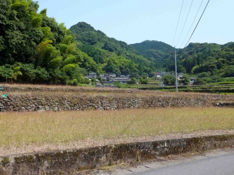 網津コース:棚田 網津コース:棚田